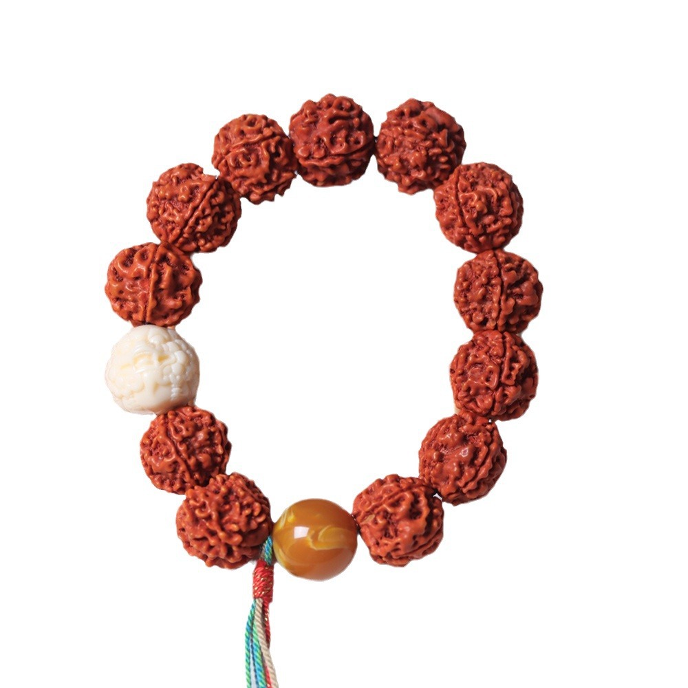 نيبال خمس بتلات اللحوم الكاملة - مراجعة Women Accessories Nepal وسعره